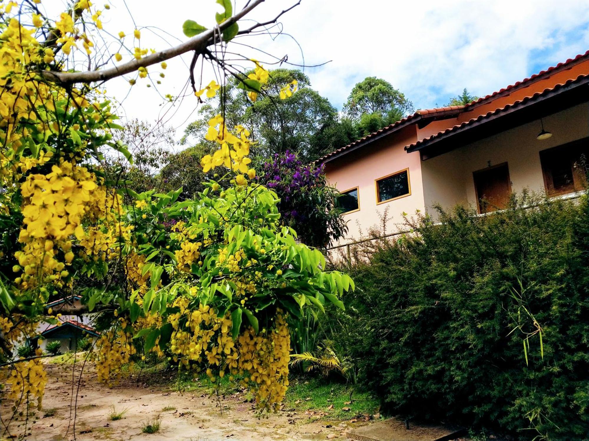 Colar De Ouro *